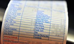 Devlet desteği kaldırıyor