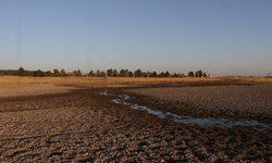 Kabaklı Göleti tehlikede