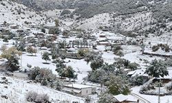 Antalya'nın ilk karı