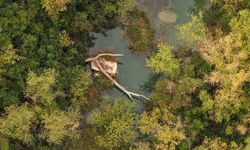 Antalya'nın doğa harikasında görsel şölen