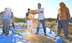 Manavgat'ın 'altın' değeri