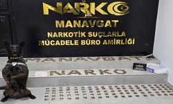 Manavgat'ta narkotik operasyonu