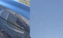 Gökyüzünden örümcek ağı yağdı