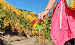 Sonbaharda renk cümbüşü