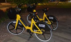 ‘Tazı’ Antalya sokaklarında