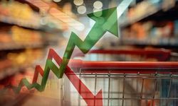 Mehmet Balık'tan sert eleştiri: Ne tarafa doğru büyüdük?