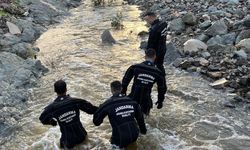 Selde kaybolan 70 yaşındaki adam aranıyor