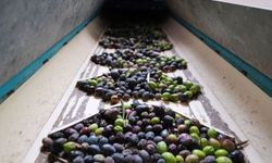 'Yok yılı' beklentiyi düşürdü