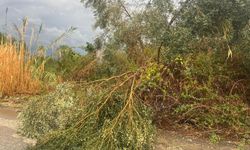 Aksu'da sel: Araçlar mahsur kaldı!