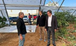 Seralarda hasar tespit çalışması başlatıldı