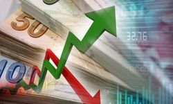 Vatandaşı üzecek enflasyon tahmini