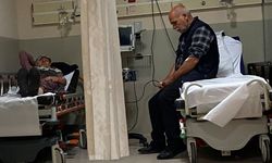 7 kişi yedikleri mantardan zehirlendi