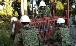 Japonya'da ayı kabusu