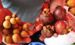 Düşen vergiler yerliyi vurdu: Üretici maliyetine üretim yapıyor