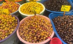 Zeytin alırken nelere dikkat etmeli