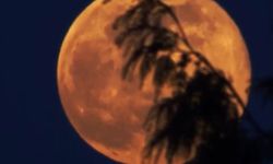 Antalya'da 'Süper Dolunay' mest etti