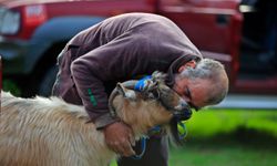 Döşemealtı'da keçi kurtarma operasyonu