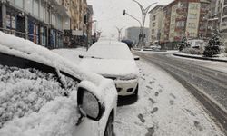 Mevsimin ilk karı yağdı