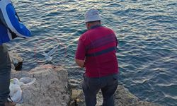 Oltayla martı yakaladı