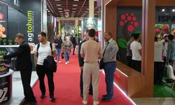 Antalya'da fuara rekor katılım