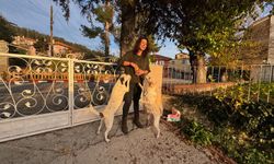 Metin Akpınar’a tazminat davası ertelendi