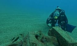 Konyaaltı'da 12 tür