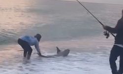 Antalya'da amatör balıkçı köpek balığı yakaladı
