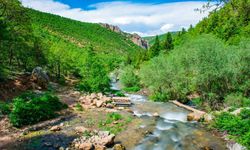 Alanya ve Konya'dan tarihi imzalar