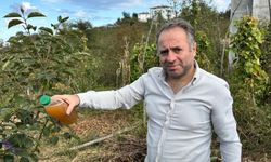 Kokarcaya doğal çözüm