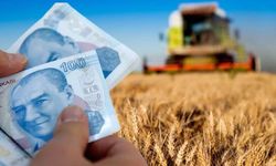 'Maliyet artıyor, çiftçi zararına satıyor!'