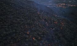 Aydın'daki orman yangını kontrol altında