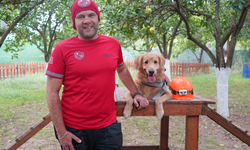 Arama kurtarma köpeği olabilirler
