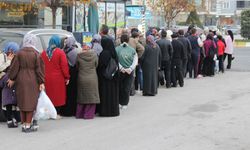 Hamsinin kilosu 40 TL'ye düştü