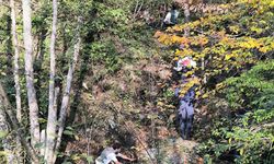 Kuzgunu takip ederek cesedi bulmuşlar