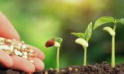 Gençlere sürdürülebilir girişimcilik yolları anlatılacak