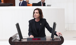 Aliye Coşar'dan sert sözler: Facianın sorumlusu sizsiniz!