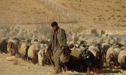 Van’dan Mardin’e uzanan 3 aylık yayla göçü