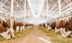 Çiftçilere önemli uyarı: Başvuru için son gün 1 Aralık!