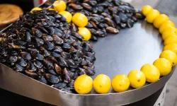 Antalya İl Tarım’dan uyarı: Sokakta satılan midye dolmalara dikkat!