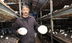 Erzurumlu girişimcinin üretim başarısı