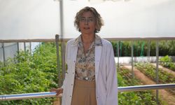 Ruhsal hastalıklarla 'toplum temelli' mücadele