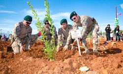 Antalya'da şehitler için fidan