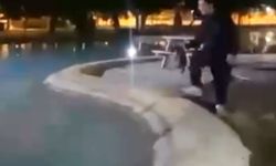 Muratpaşa'da sokak kedisine işkence