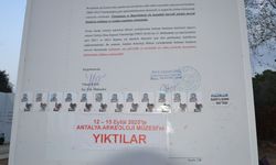 Müze direnişinde sanatın sesi