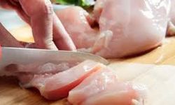 TAVUK ETİ VE DONDURULMUŞ TAVUK ÜRÜNLERİ ALIMI