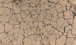 TEMA Vakfı’ndan kritik uyarı: Toprak yoksa su yok su yoksa gıda yok