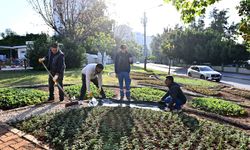 Muratpaşa Trafik Parkı'nda renk cümbüşü