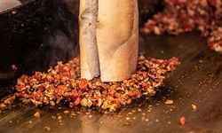 Sokak lezzetleri zehir mi saçıyor?