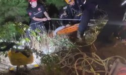 Dim Çayı'nda kurtarma operasyonu