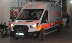 Pizzadan zehirlenen 4 kişiden 1’i hayatını kaybetti